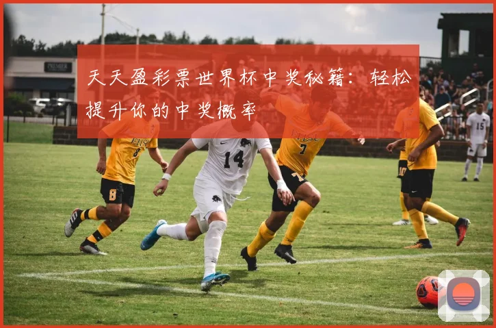 天天盈彩票世界杯中奖秘籍：轻松提升你的中奖概率