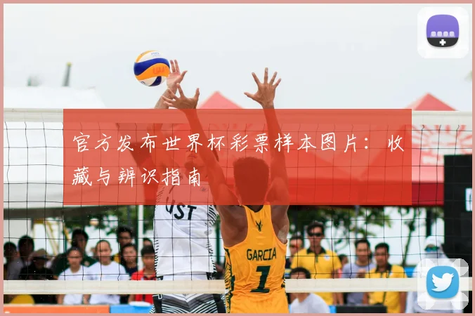 官方发布世界杯彩票样本图片：收藏与辨识指南