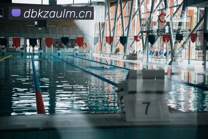 多媒体互动体验